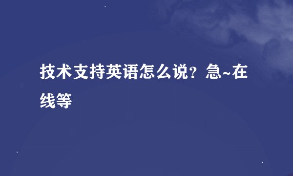 技术支持英语怎么说？急~在线等