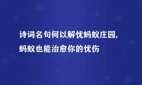 诗词名句何以解忧蚂蚁庄园,蚂蚁也能治愈你的忧伤