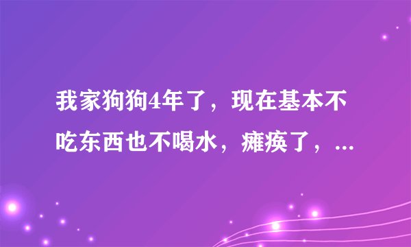 我家狗狗4年了，现在基本不吃东西也不喝水，瘫痪了，而且一动就抽，不动没事，看眼睛还是很精神的，求助