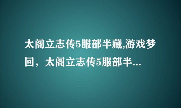 太阁立志传5服部半藏,游戏梦回，太阁立志传5服部半藏再现江湖