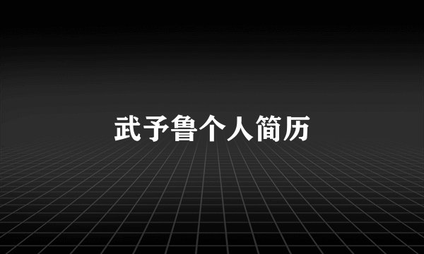 武予鲁个人简历