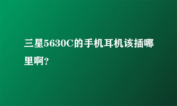 三星5630C的手机耳机该插哪里啊？
