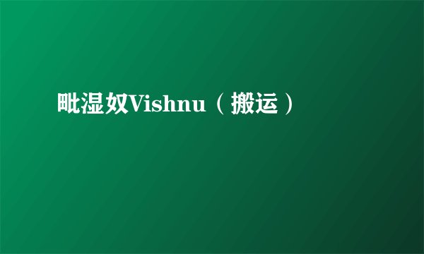毗湿奴Vishnu(搬运)