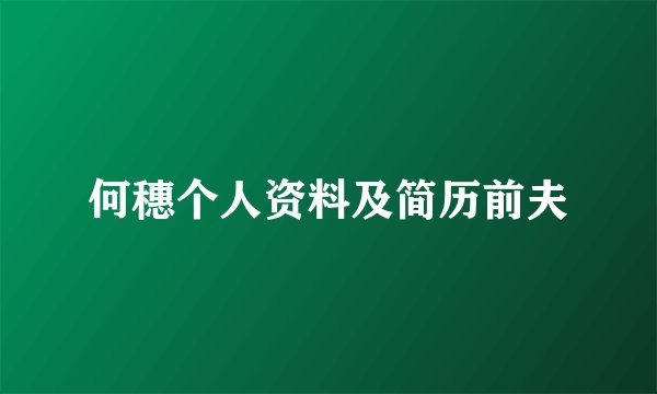 何穗个人资料及简历前夫