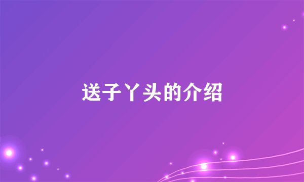 送子丫头的介绍