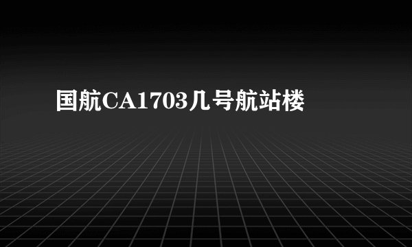国航CA1703几号航站楼