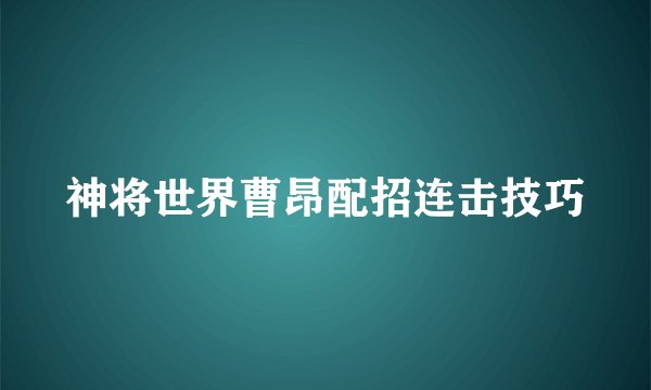 神将世界曹昂配招连击技巧