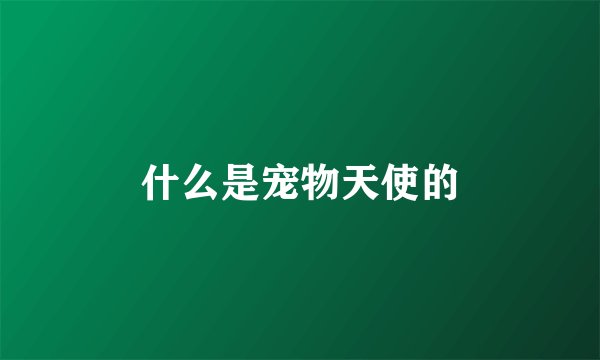 什么是宠物天使的