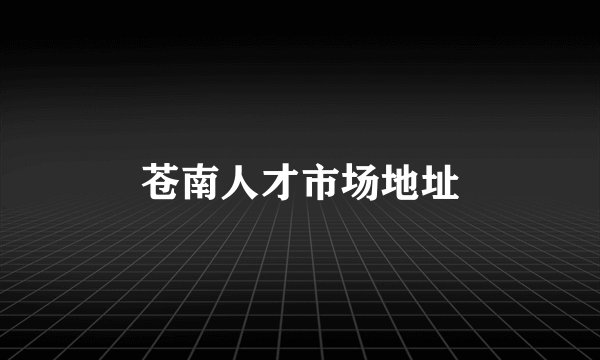 苍南人才市场地址