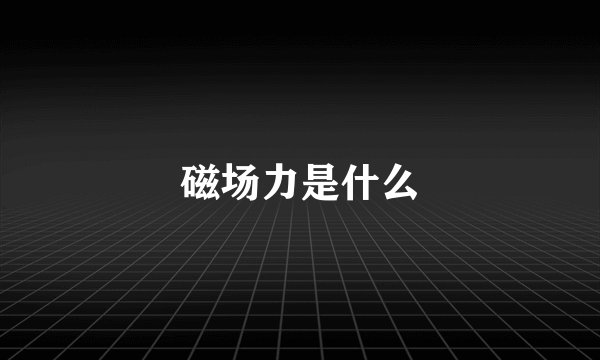 磁场力是什么