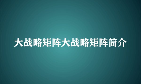 大战略矩阵大战略矩阵简介