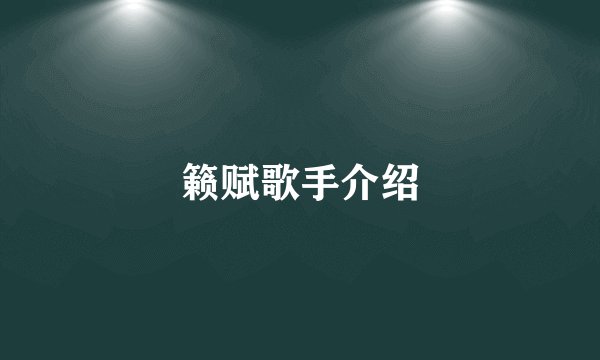 籁赋歌手介绍