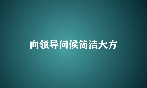 向领导问候简洁大方