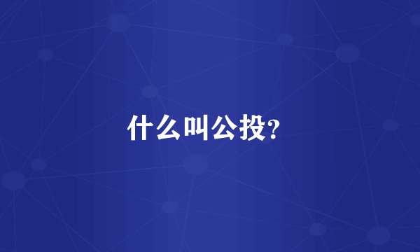 什么叫公投？