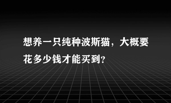 想养一只纯种波斯猫,大概要花多少钱才能买到?