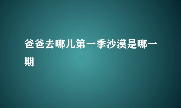 爸爸去哪儿第一季沙漠是哪一期