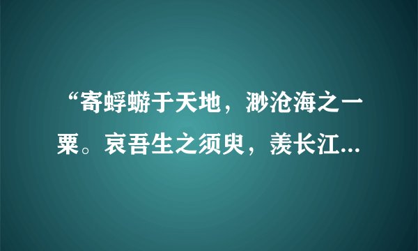 “寄蜉蝣于天地，渺沧海之一粟。哀吾生之须臾，羡长江之无穷”是什么意思？