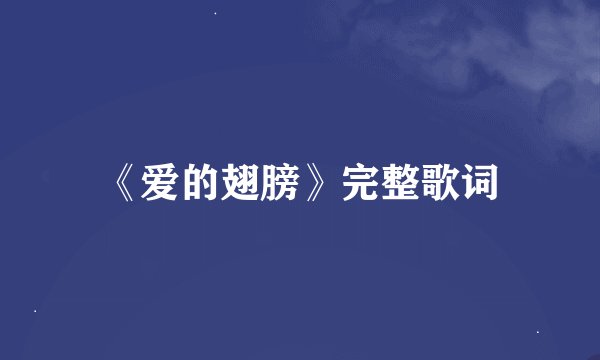 《爱的翅膀》完整歌词