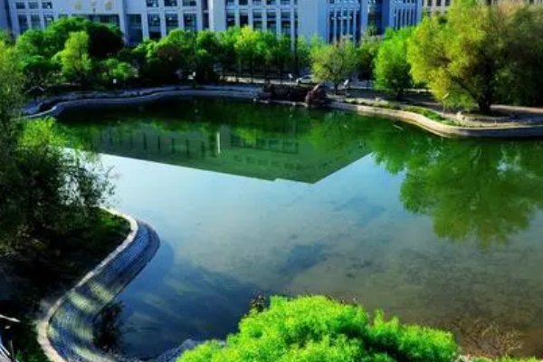 石河子一中录取线2023