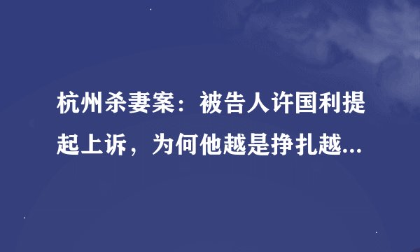 杭州杀妻案：被告人许国利提起上诉，为何他越是挣扎越让人愤恨？