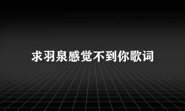 求羽泉感觉不到你歌词