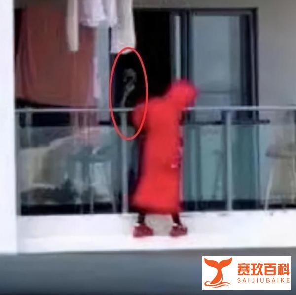 三亚红衣女子跳舞坠亡事件，一层楼人都搬走！