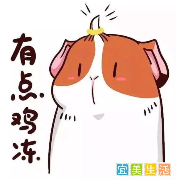 为什么奥运冠军都爱用牙咬金牌?