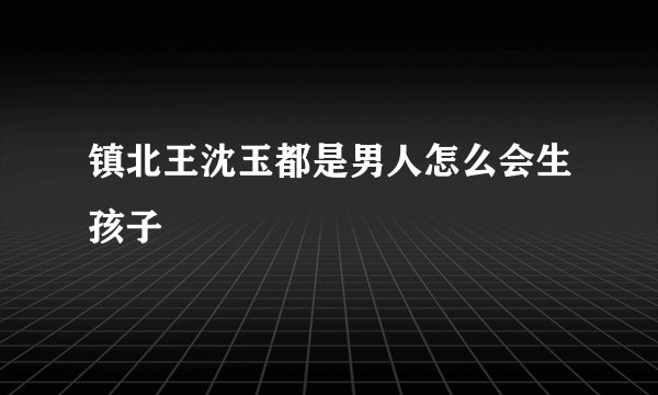 镇北王沈玉都是男人怎么会生孩子