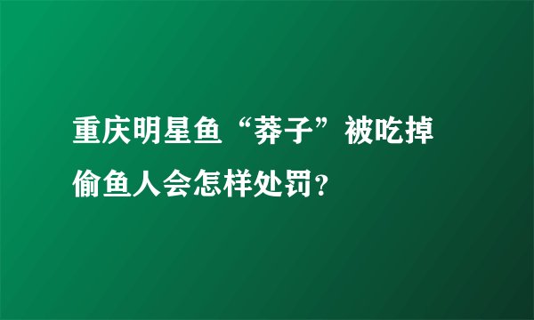 重庆明星鱼“莽子”被吃掉 偷鱼人会怎样处罚？