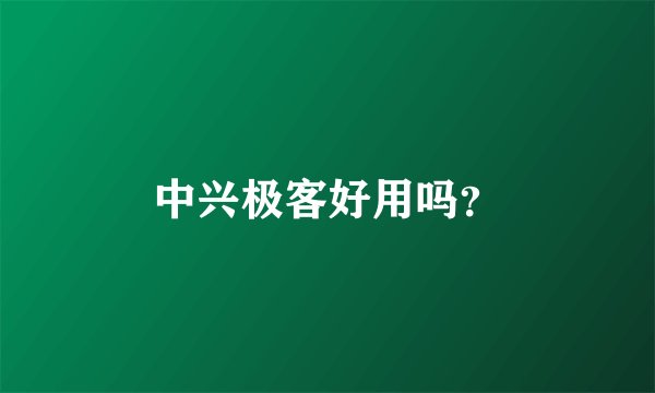 中兴极客好用吗？