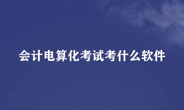 会计电算化考试考什么软件