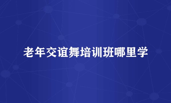 老年交谊舞培训班哪里学