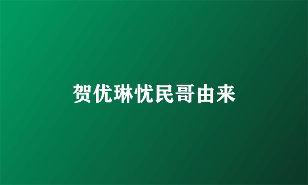 贺优琳忧民哥由来