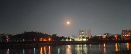 阆中终止拍卖起价1.8亿食堂经营权，终止原因是什么？
