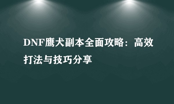 DNF鹰犬副本全面攻略：高效打法与技巧分享