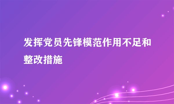 发挥党员先锋模范作用不足和整改措施