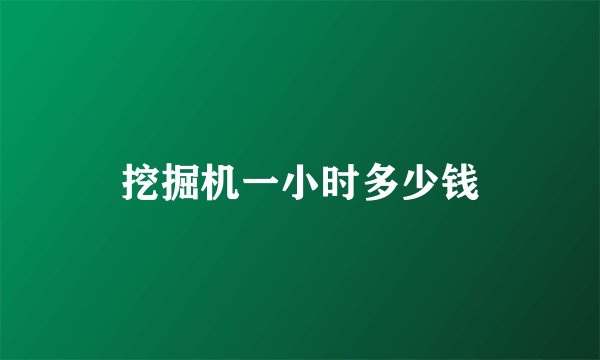 挖掘机一小时多少钱