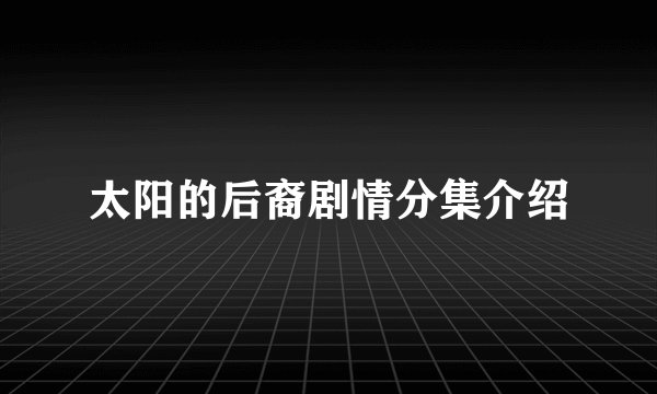 太阳的后裔剧情分集介绍