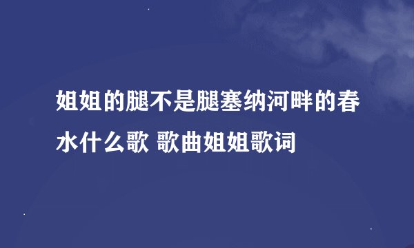 姐姐的腿不是腿塞纳河畔的春水什么歌 歌曲姐姐歌词