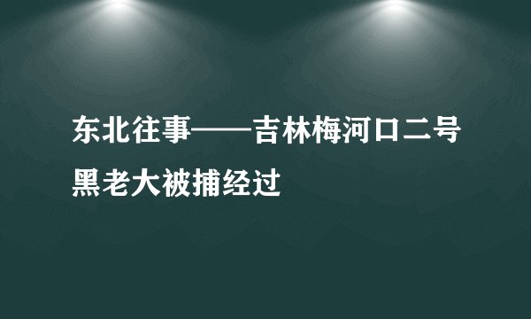 东北往事——吉林梅河口二号黑老大被捕经过