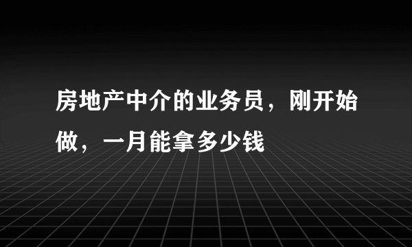 房地产中介的业务员，刚开始做，一月能拿多少钱