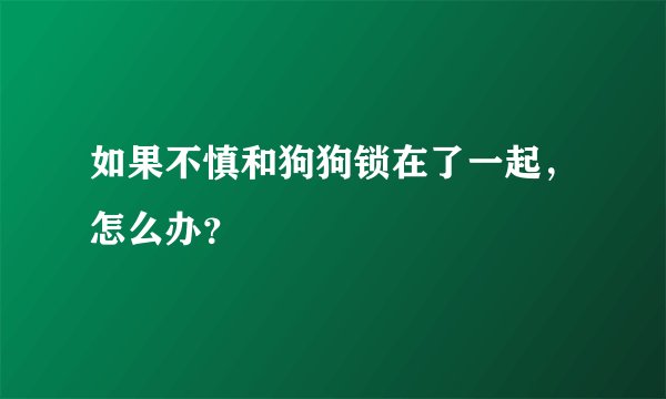 如果不慎和狗狗锁在了一起，怎么办？