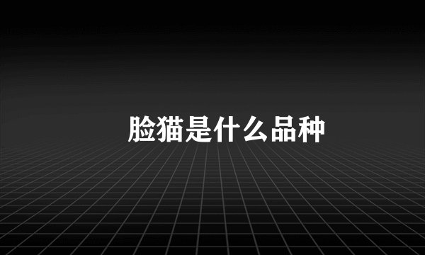 囧脸猫是什么品种