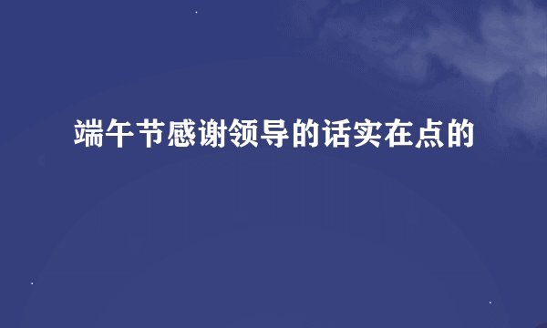 端午节感谢领导的话实在点的