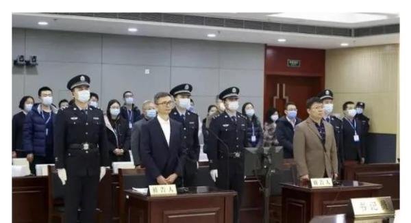 李宁院士,获刑10年!