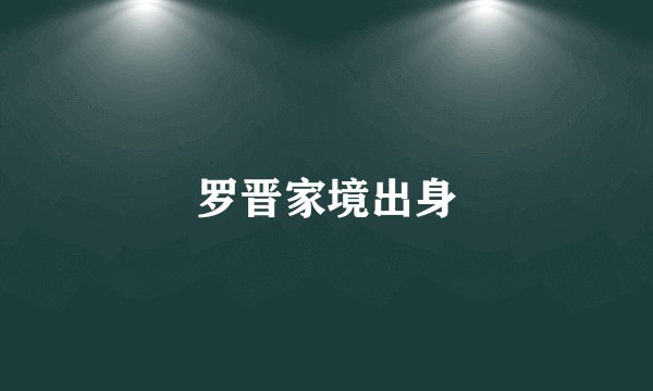 罗晋家境出身