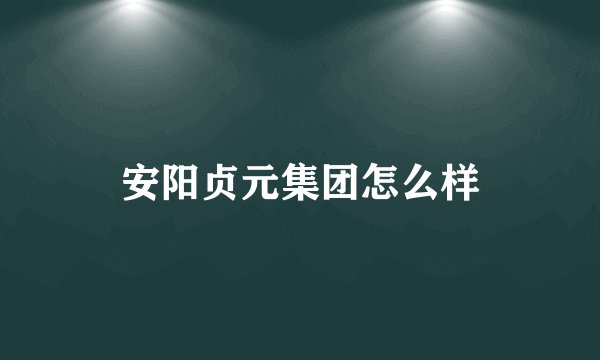 安阳贞元集团怎么样