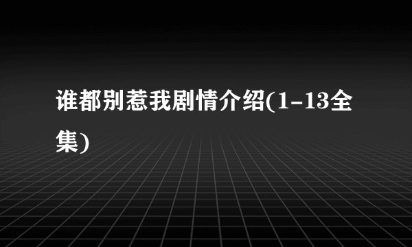 谁都别惹我剧情介绍(1-13全集)
