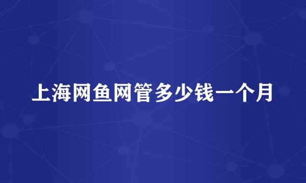 上海网鱼网管多少钱一个月