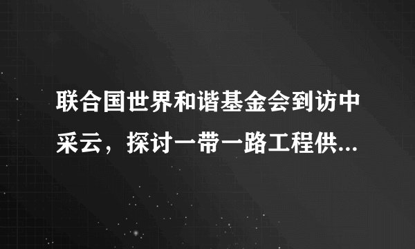 联合国世界和谐基金会到访中采云，探讨一带一路工程供应链合作模式